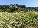 IMG_6233.webp